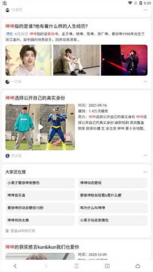 爱坤浏览器