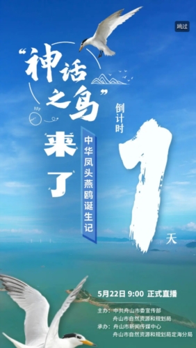 竞舟图片4