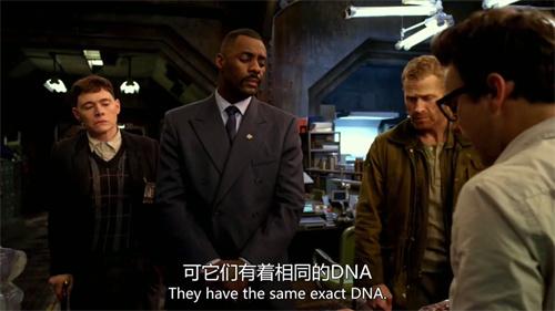 海狗视频免费追剧