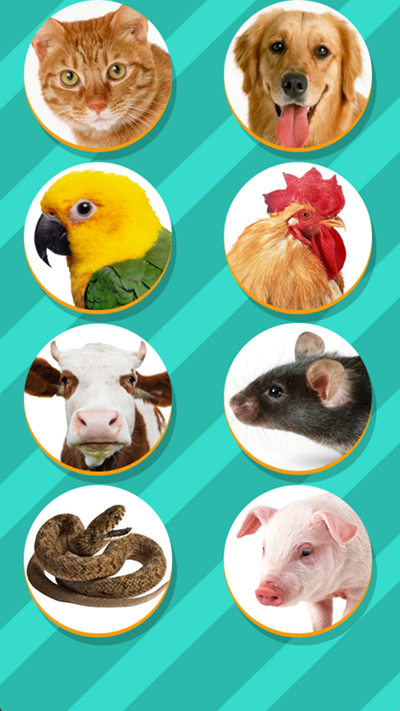 Pet Translator v1.1