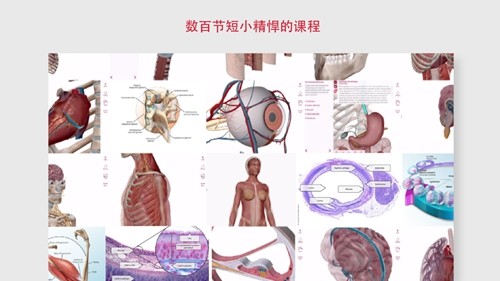 解剖和生理学安卓版 v6.2.00