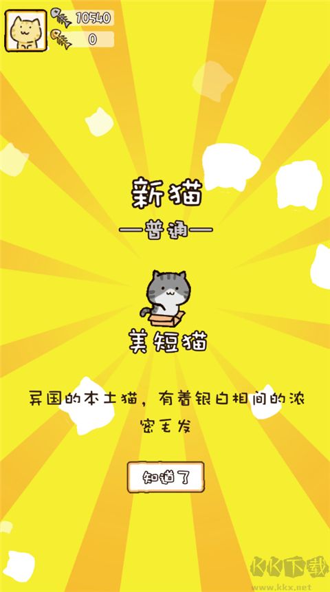 猫咪庭院物语正版 v1.05安卓版 