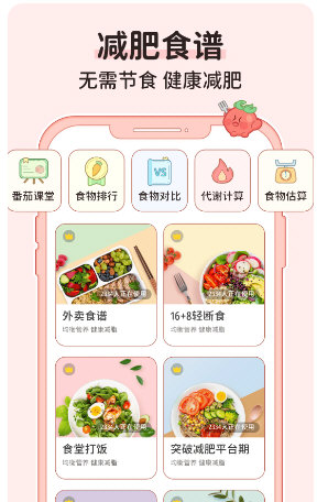 番茄闪轻APP