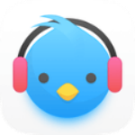 lark player汉化版下载 v6.33.0 