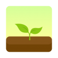 专注森林下载 v4.92.0