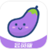 小茄子v1.0.3