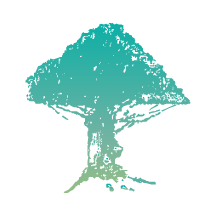 树兰医生下载 v2.10.30