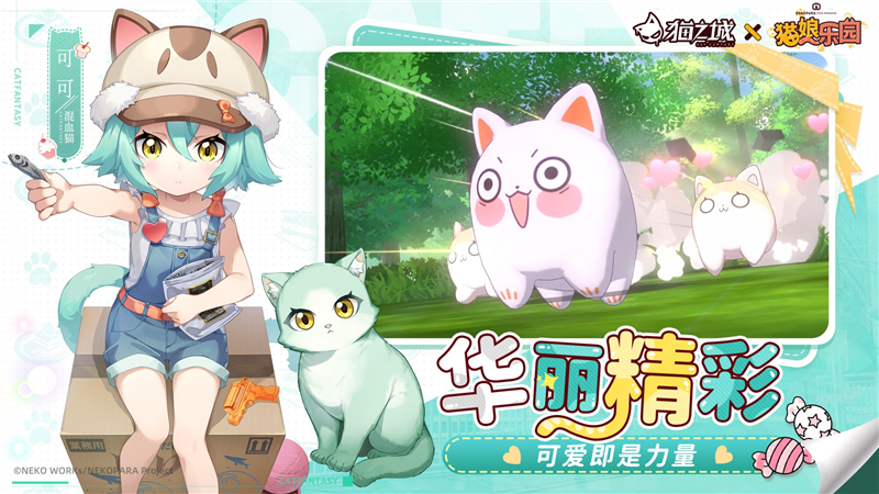 猫之城3