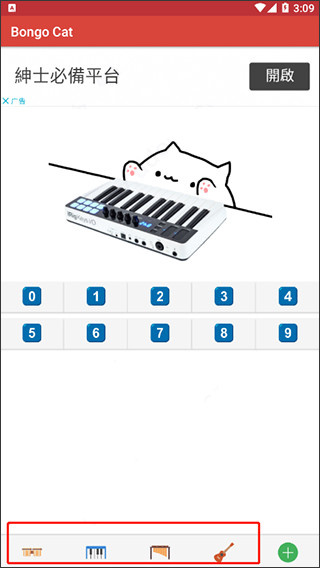 bongo cat