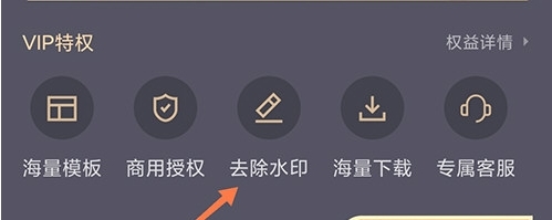 图司机VIP