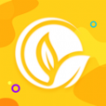 柚子流量大师下载  v2.6.7