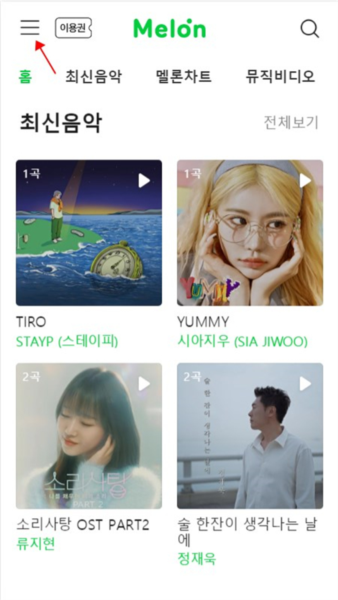 melon5