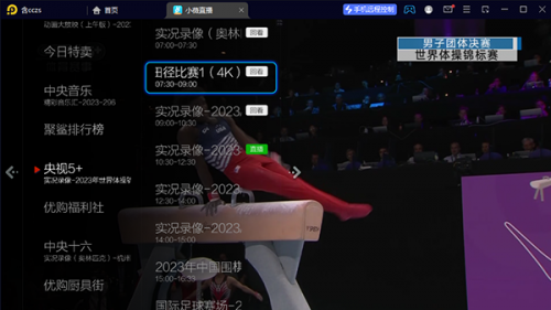 小薇直播电视版回放