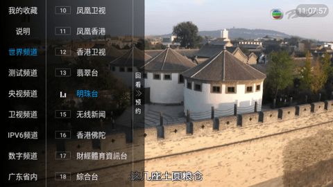 小树林TV内置源版