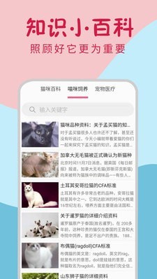 小猫翻译器3