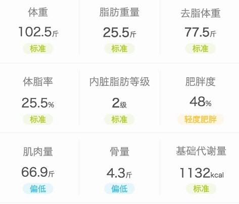 天天轻2