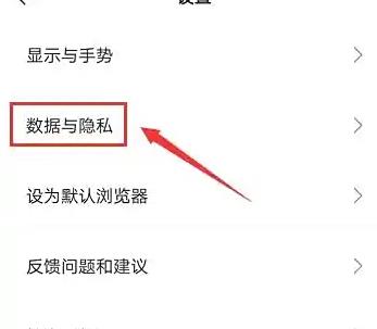小智浏览器手机版