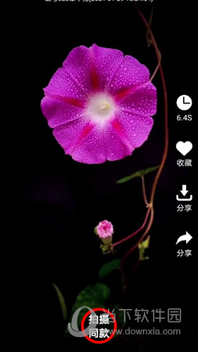 左拍APP