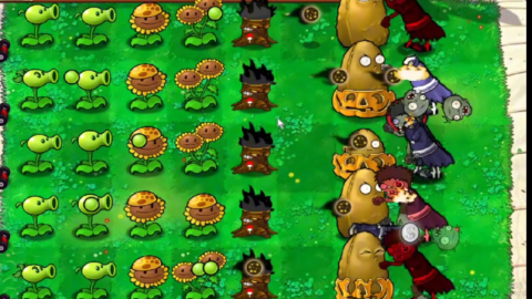灵风哟植物大战僵尸火影版