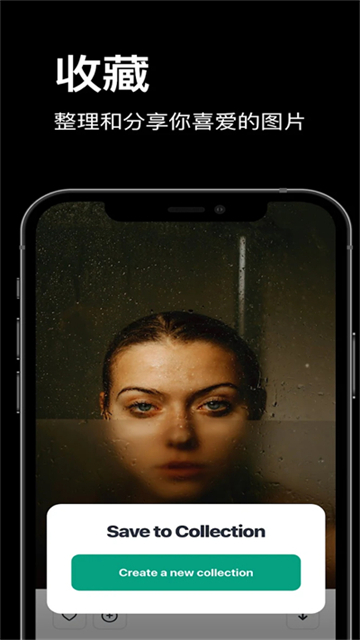 pexels免费素材网app下载截图