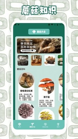 蘑菇识别助手截图3