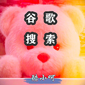 Google搜索引擎第三方客户端v1.0 最新版