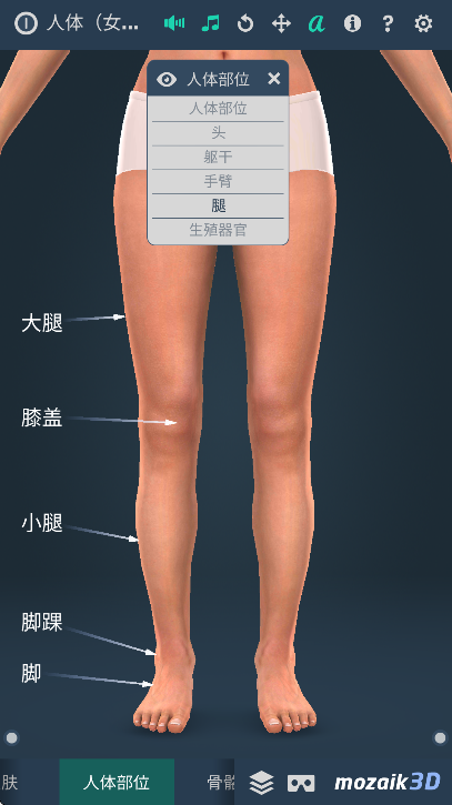 Human body v1.0