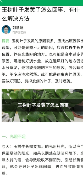 小绿植物手机版 v1.0