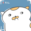 主播和猫的故事免广告版下载 v2.4