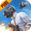 pubg国际服2.9下载 v2.8.0