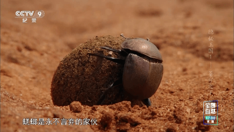 空格TV电视盒子app