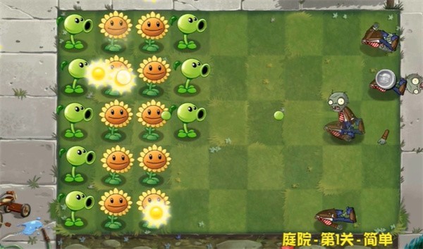 PVZ̽