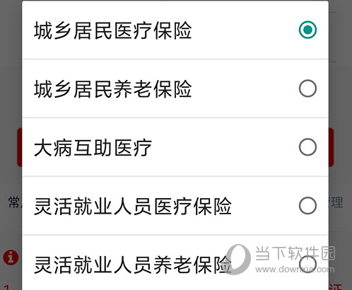 险种
