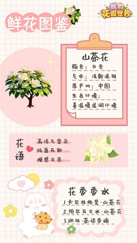 我的花园世界 第2张图