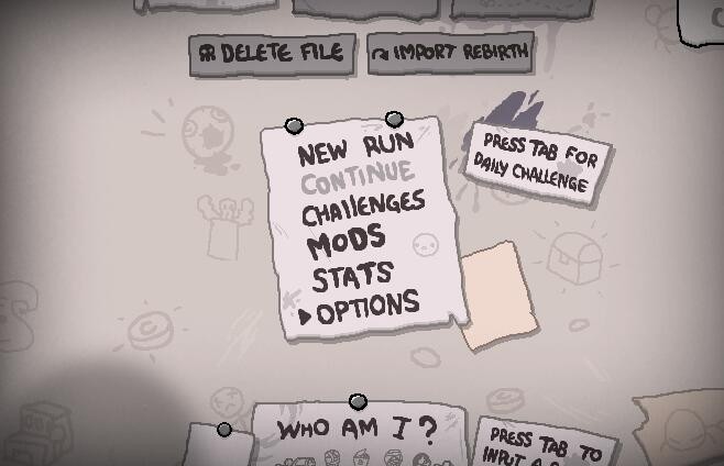 以撒的结合胎衣