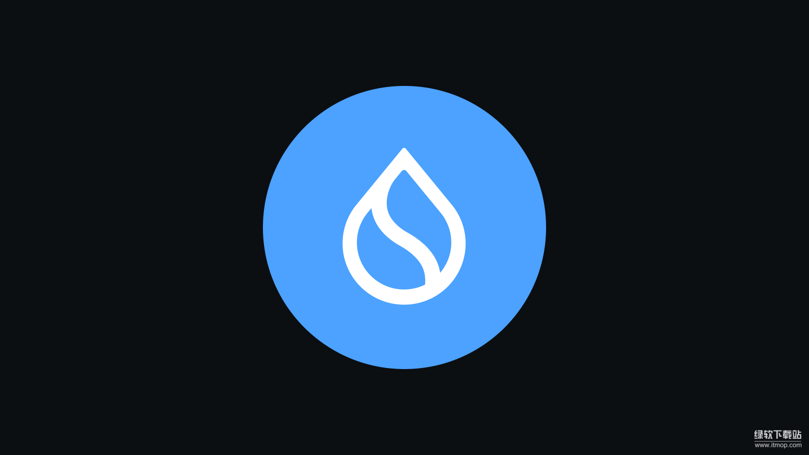 SUI代币的主要功能是什么？它如何支付网络交易费用？