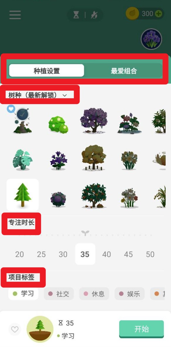 Forest 专注森林