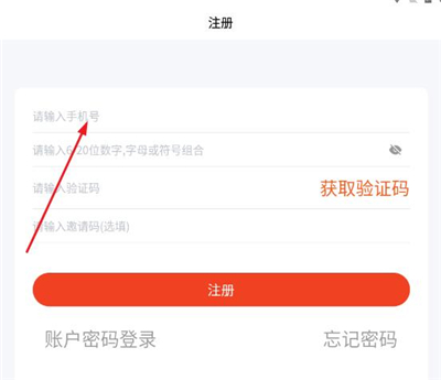 右豹4