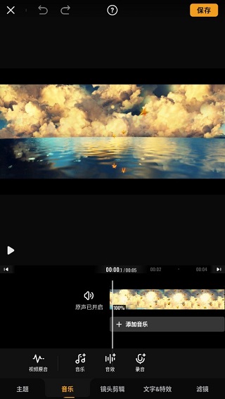 Viva Video5