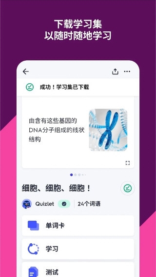 Quizlet2