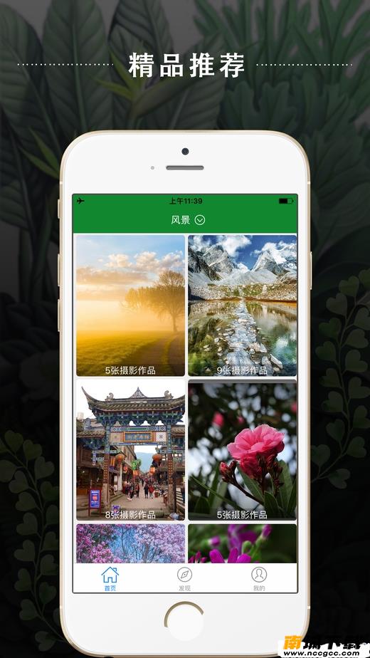预览图2
