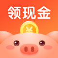 金猪记步下载  v1.2.9