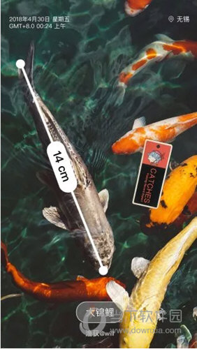 渔获APP