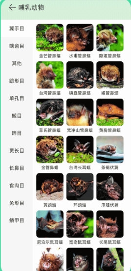 动物百科APP
