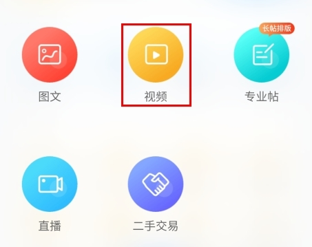 龙巅11