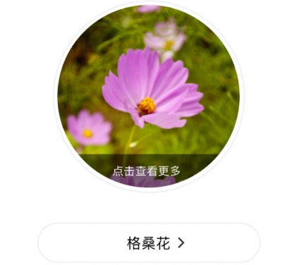 识花2