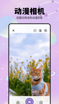 次元城动漫下载官方版app截图
