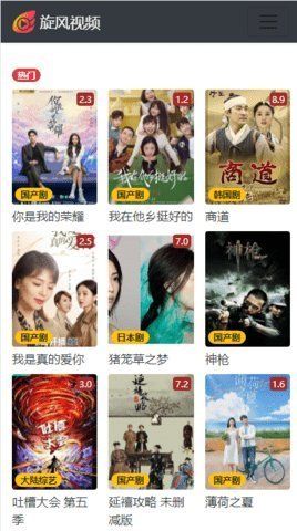 旋风视频手机版
