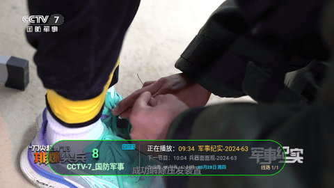 电视+4TV版