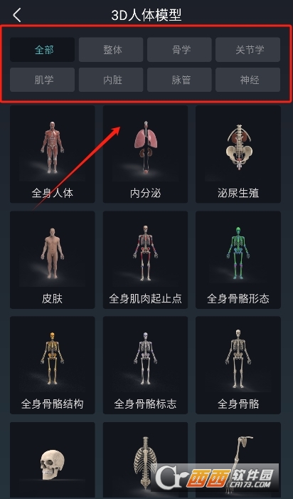 easy解剖軟件 V1.0.0最新版截圖1
